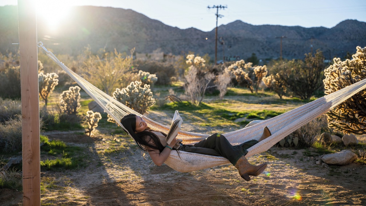 Photo of Others in Joshua Tree Highlands
