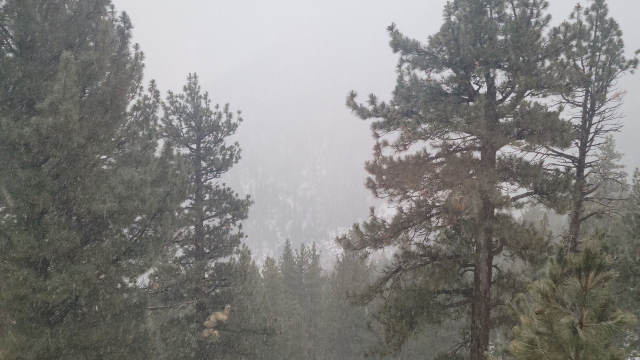 Photo of Outdoor in Tahoe Village