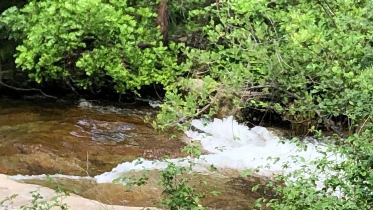 Photo of Others in Cascadel Woods