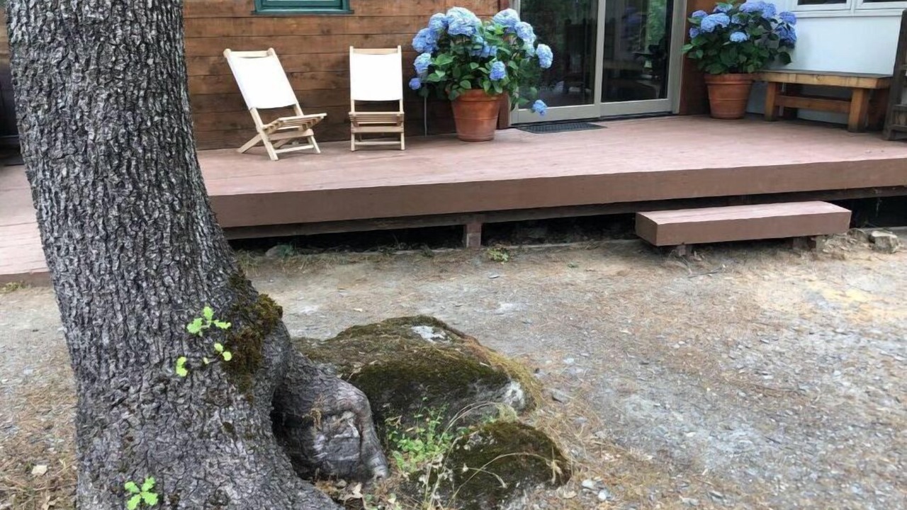 Photo of Outdoor in Cascadel Woods