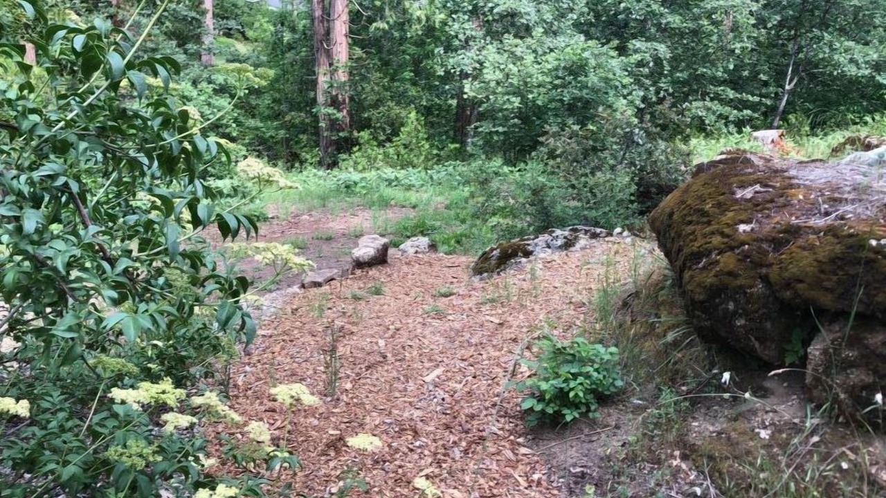 Photo of Outdoor in Cascadel Woods