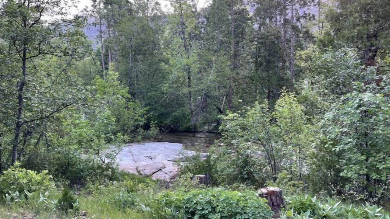 Photo of Outdoor in Cascadel Woods