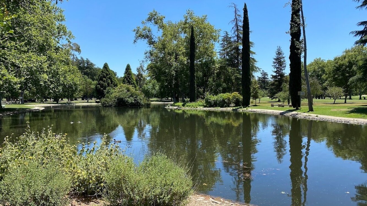 Photo of Others in Downtown Sacramento