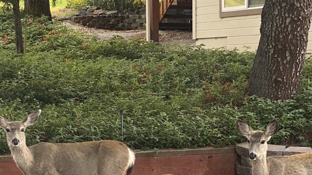 Photo of Outdoor in Groveland
