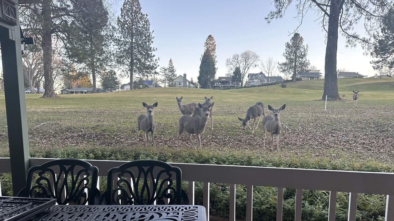 Photo of Outdoor in Groveland