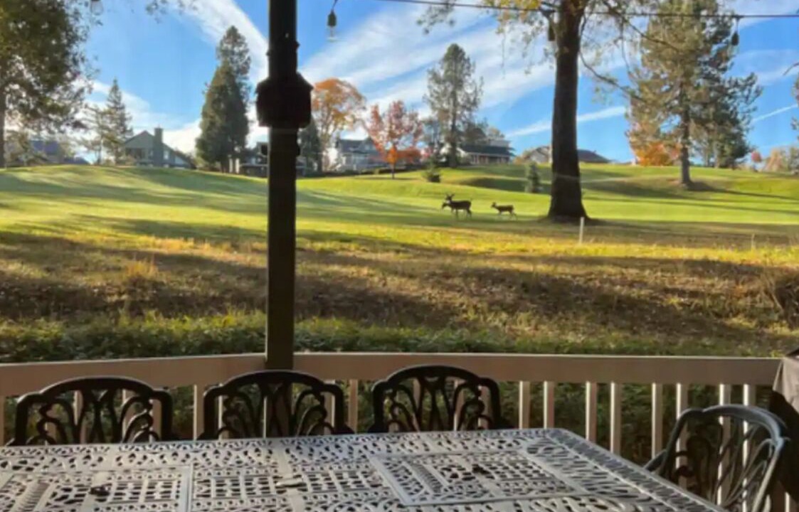 Photo of Outdoor in Groveland