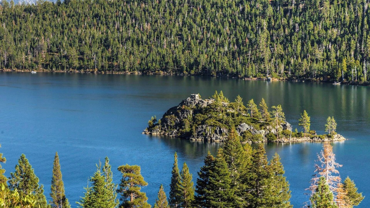Photo of Others in South Lake Tahoe