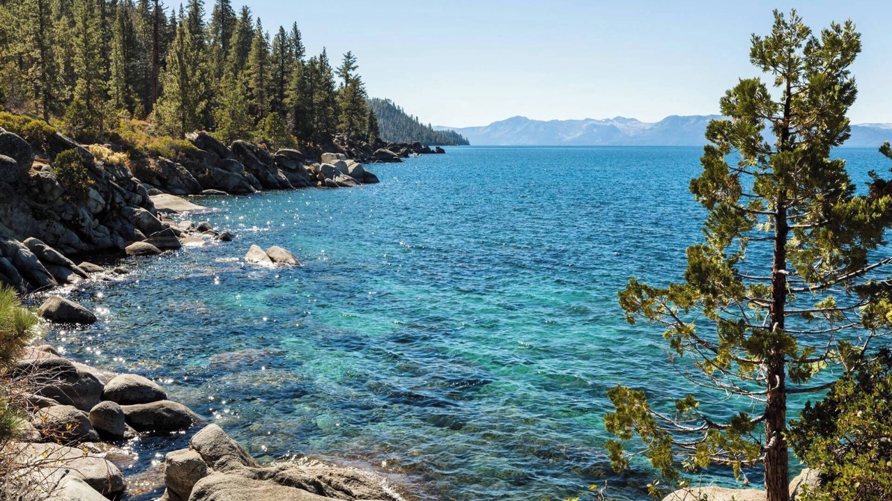 Photo of Others in South Lake Tahoe