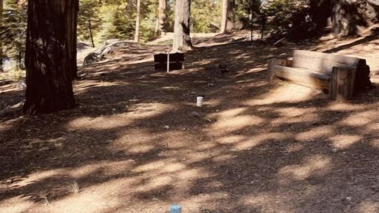 Photo of Others in Shaver Lake