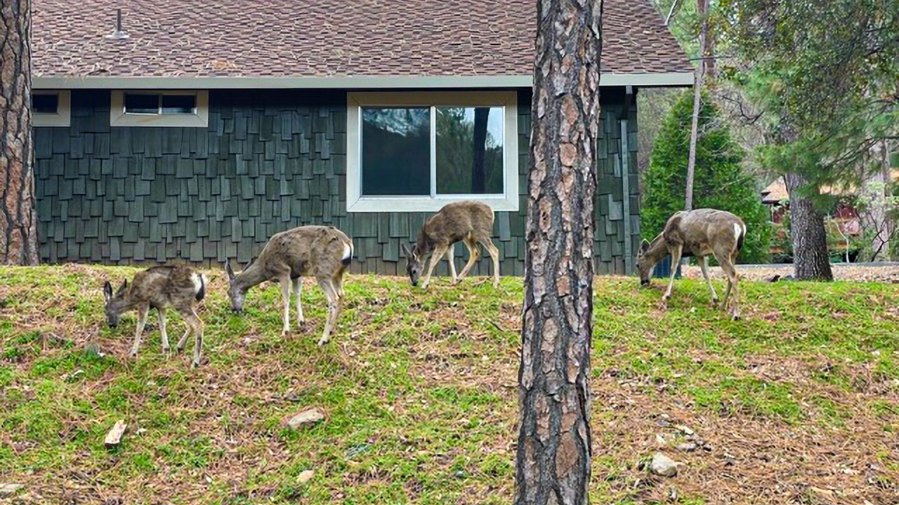 Photo of Outdoor in Groveland