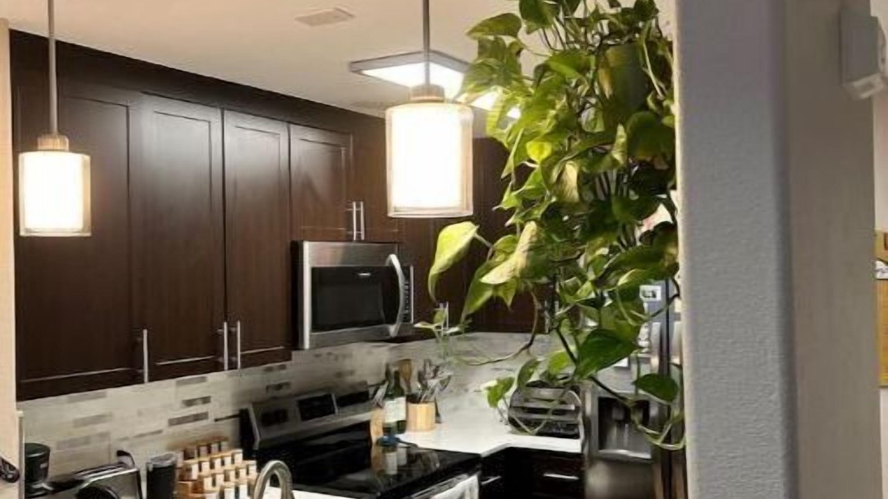 Photo of Kitchen in Walnut Creek
