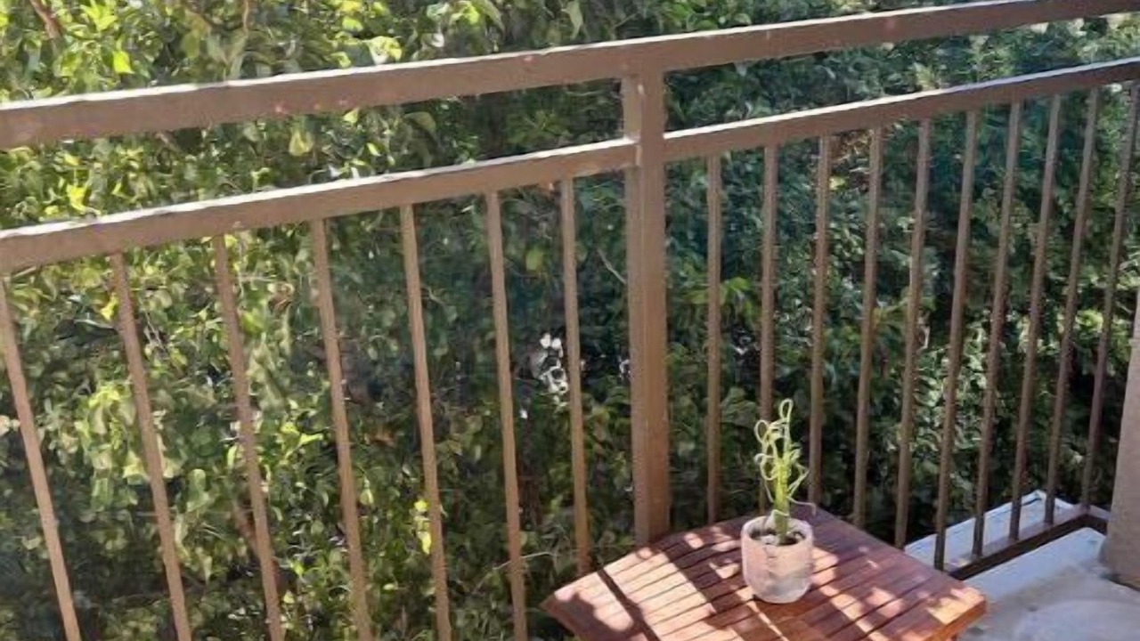 Photo of Outdoor in Walnut Creek