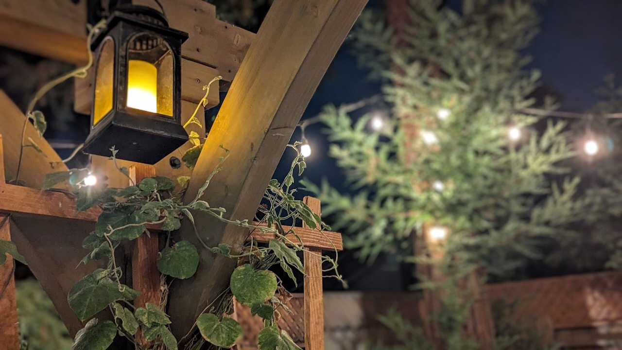 Photo of Outdoor in Raisin
