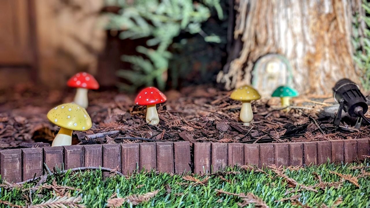 Photo of Outdoor in Raisin