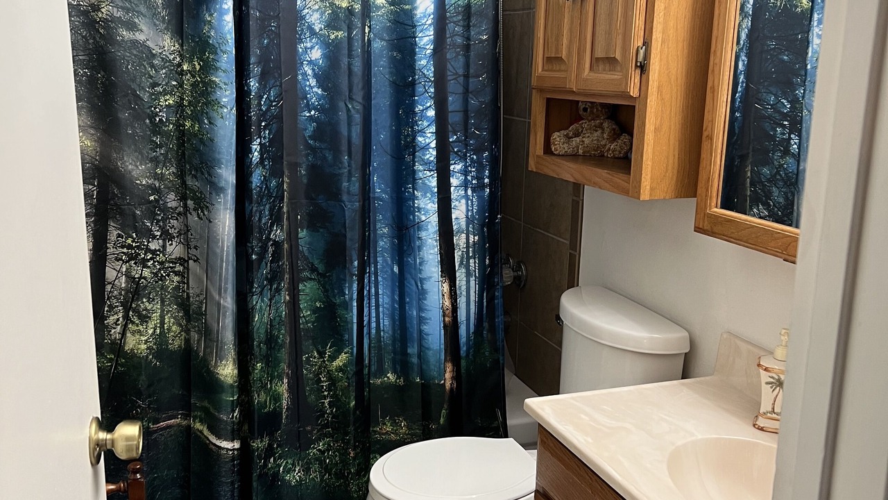 Photo of Bathroom in Tahoe Paradise