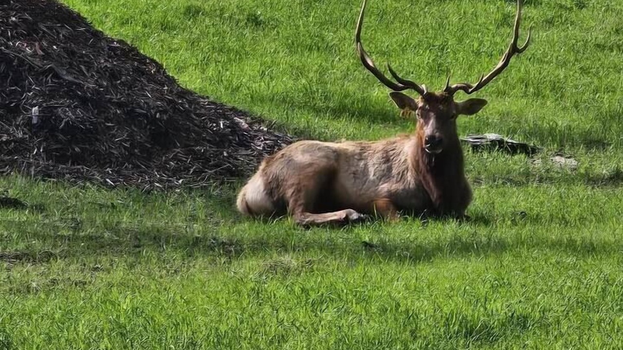 Photo of Others in Paso Robles