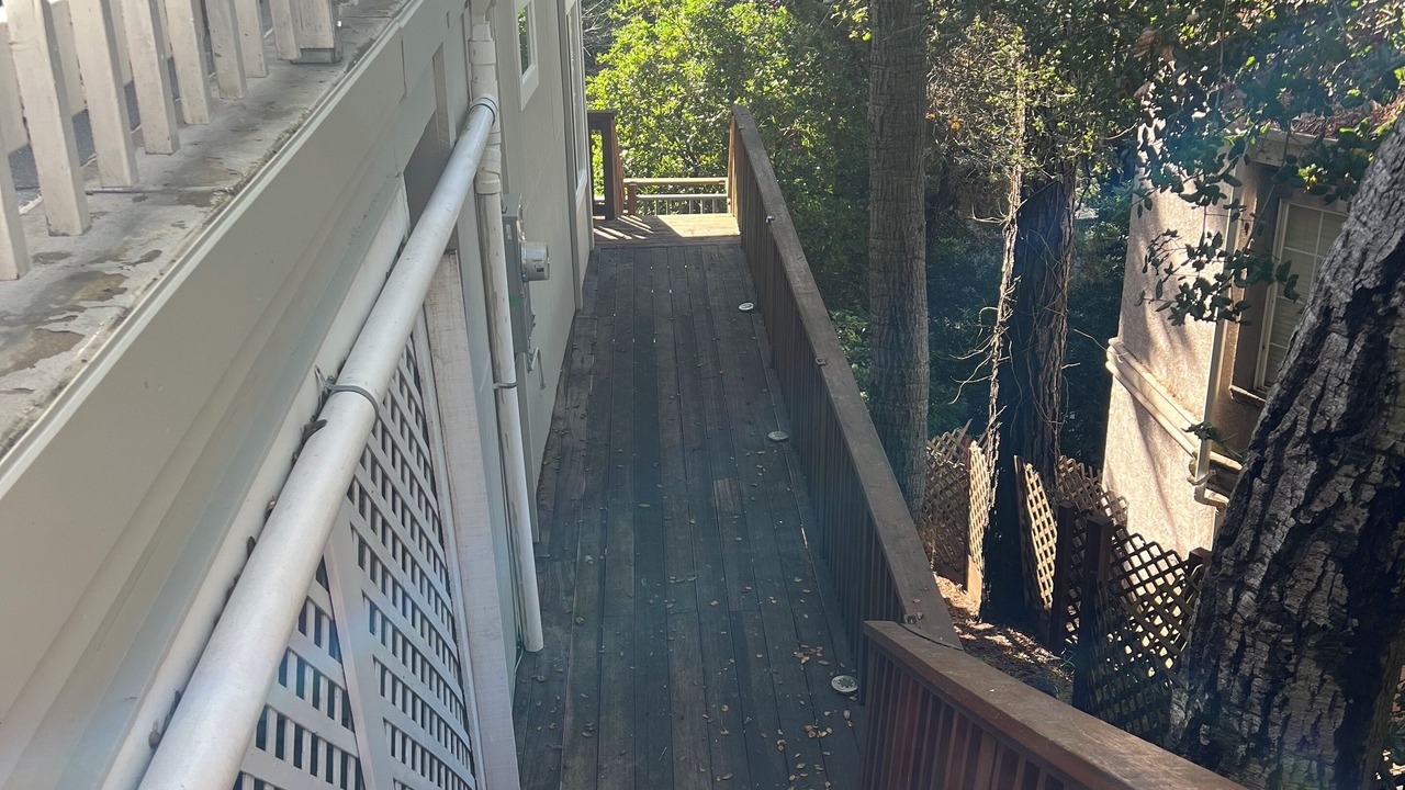 Photo of Others in Piedmont Pines