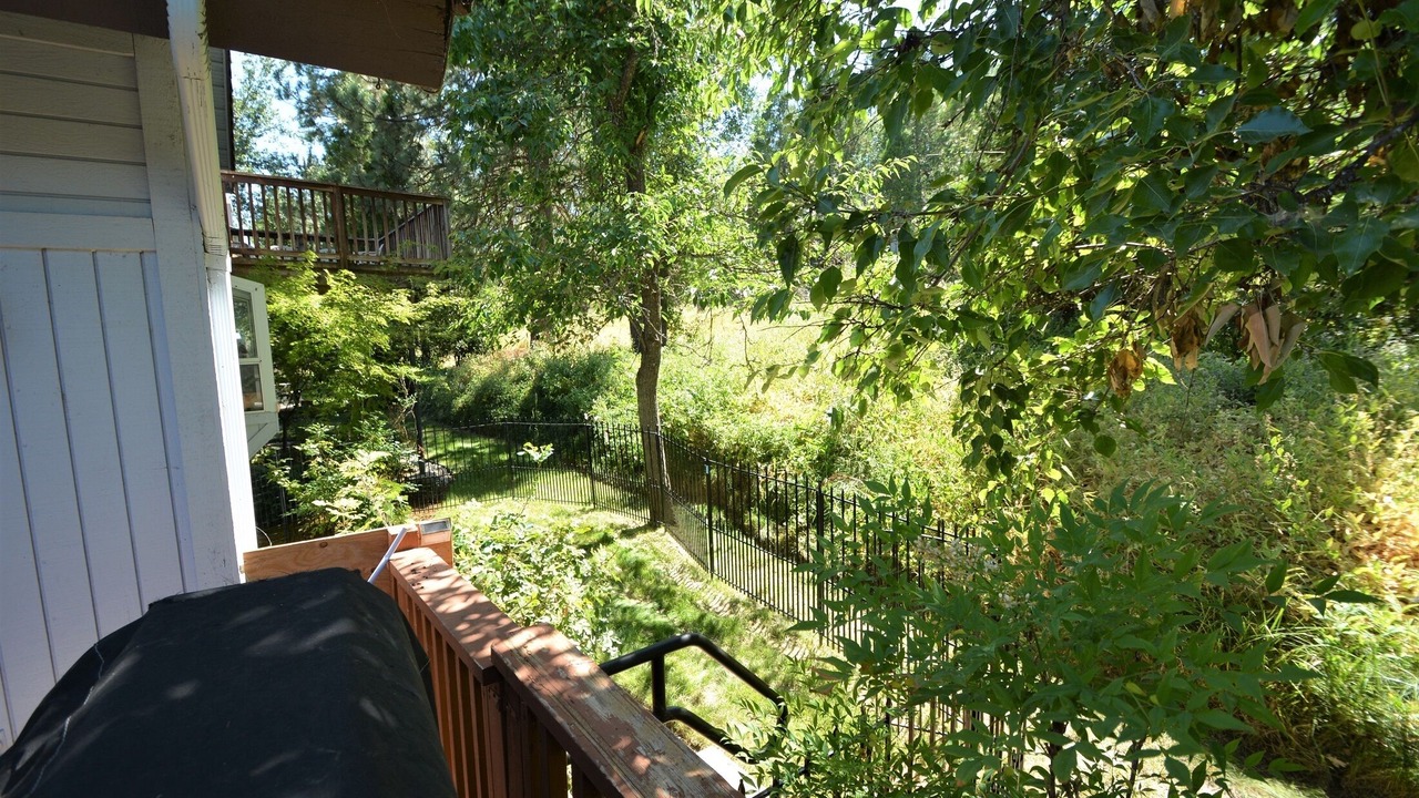 Photo of Outdoor in Bass Lake