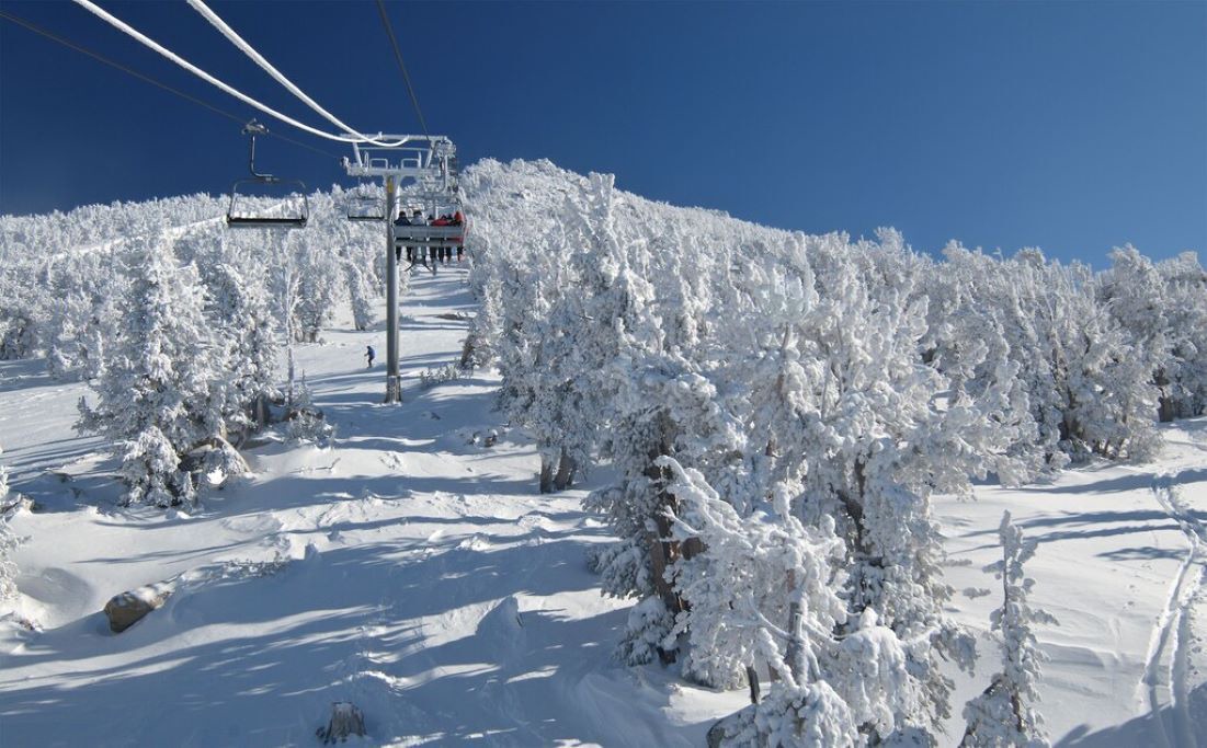 Photo of Others in Incline Village