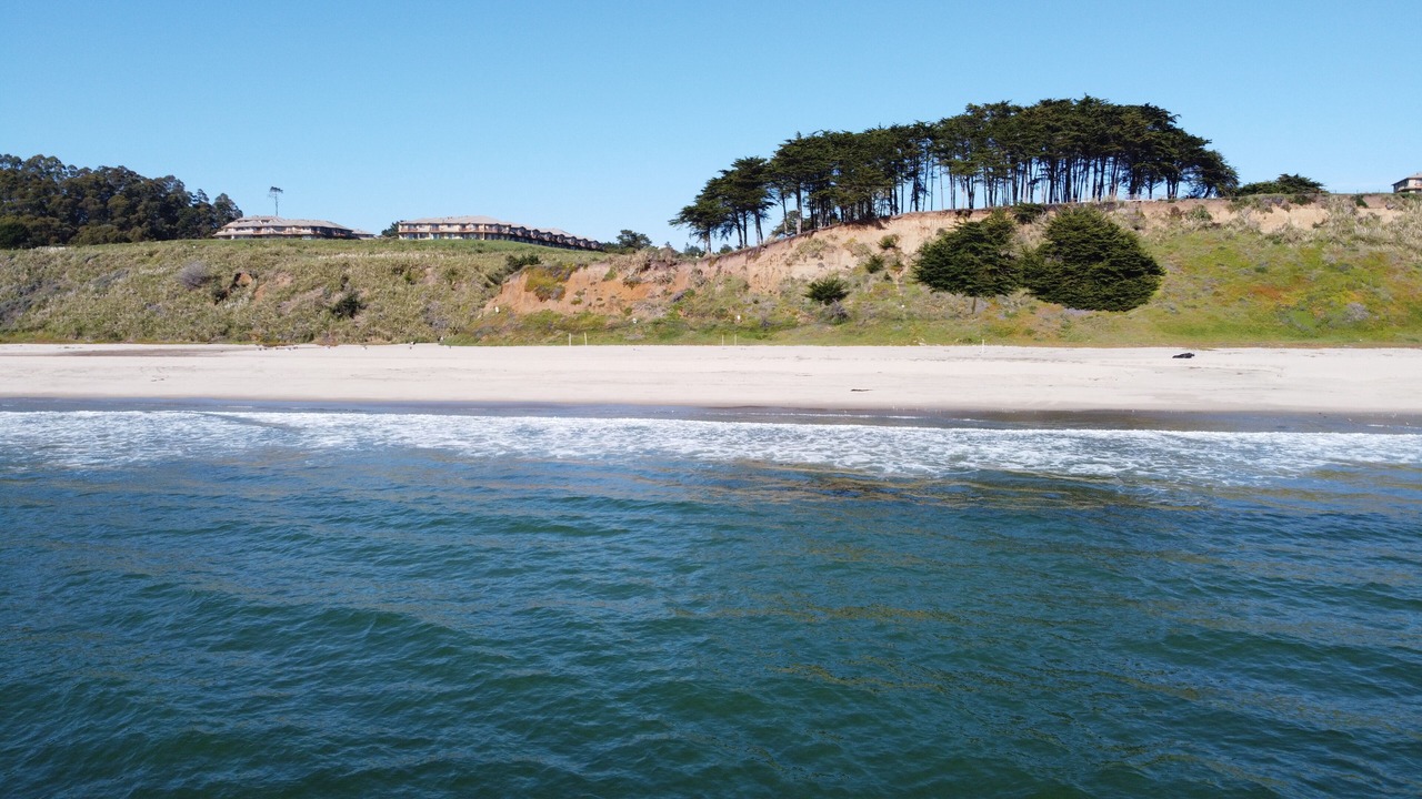 Photo of Others in Rio del Mar