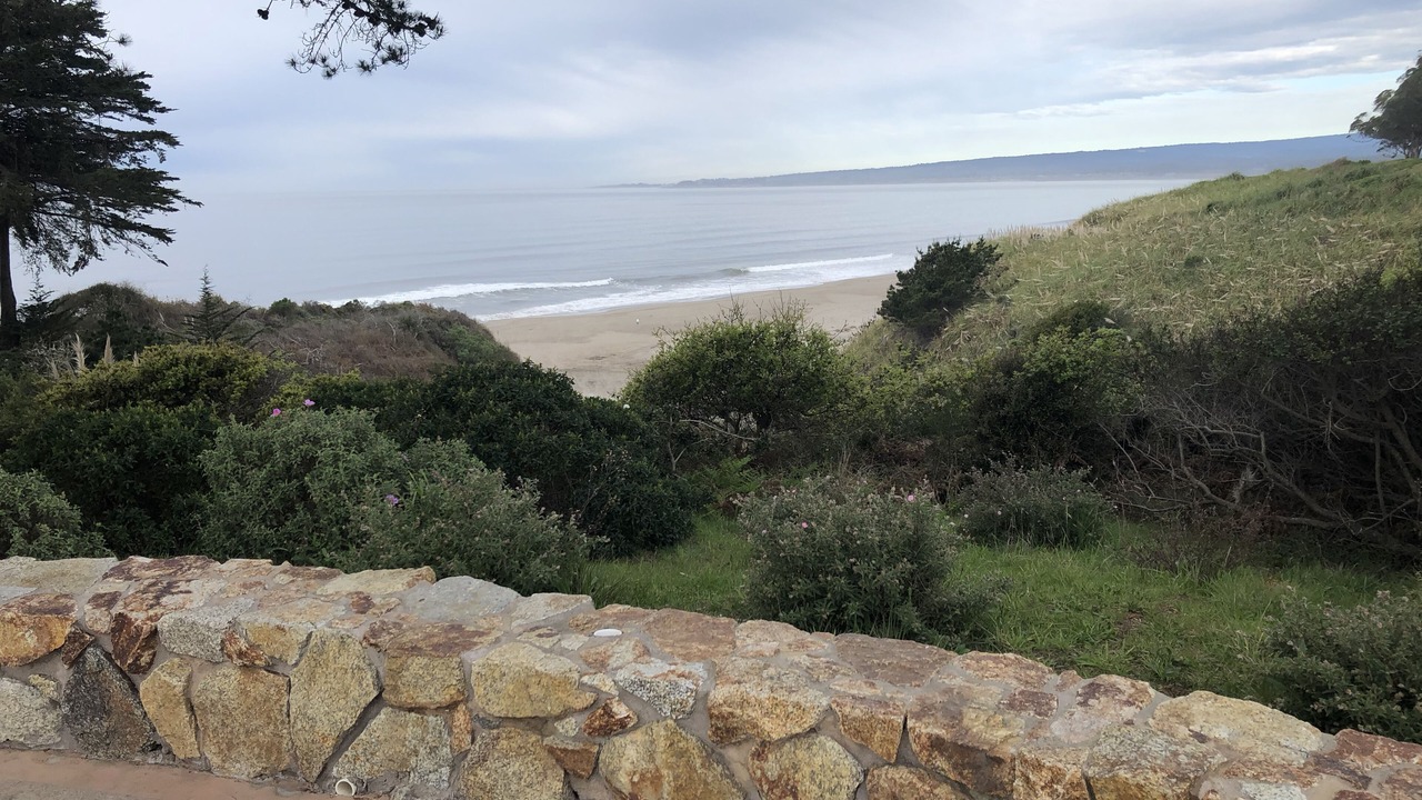 Photo of Others in Rio del Mar