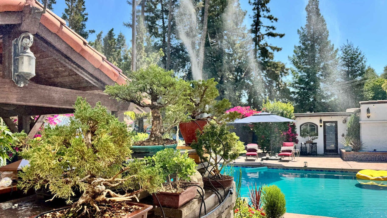 Photo of Outdoor in Visalia