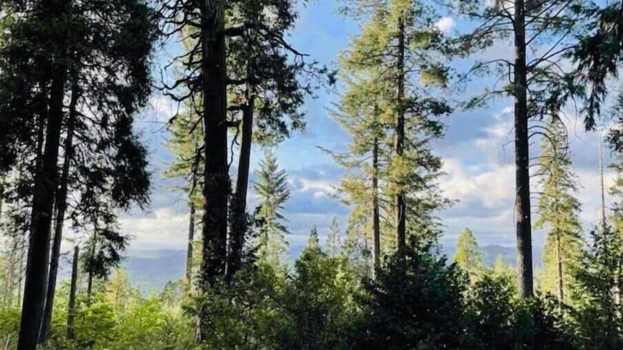 Photo of Others in Sierra Village
