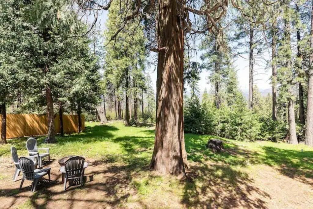 Photo of Outdoor in Sierra Village