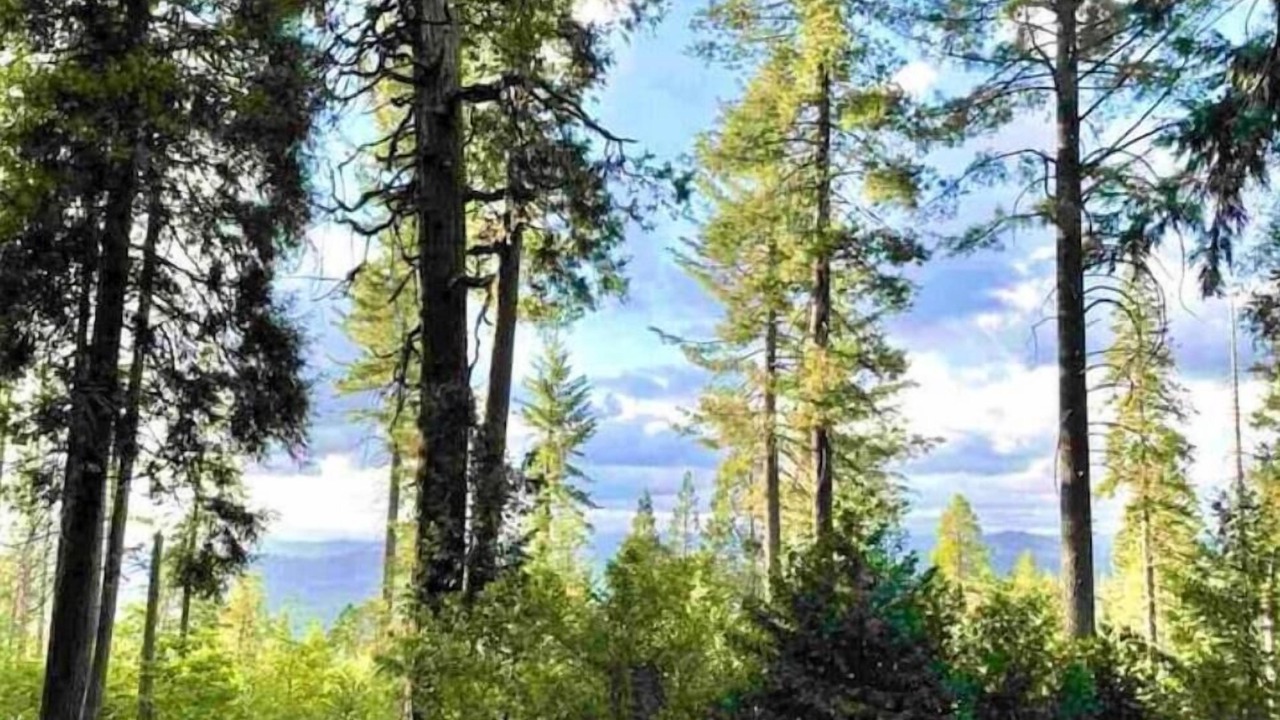 Photo of Outdoor in Sierra Village