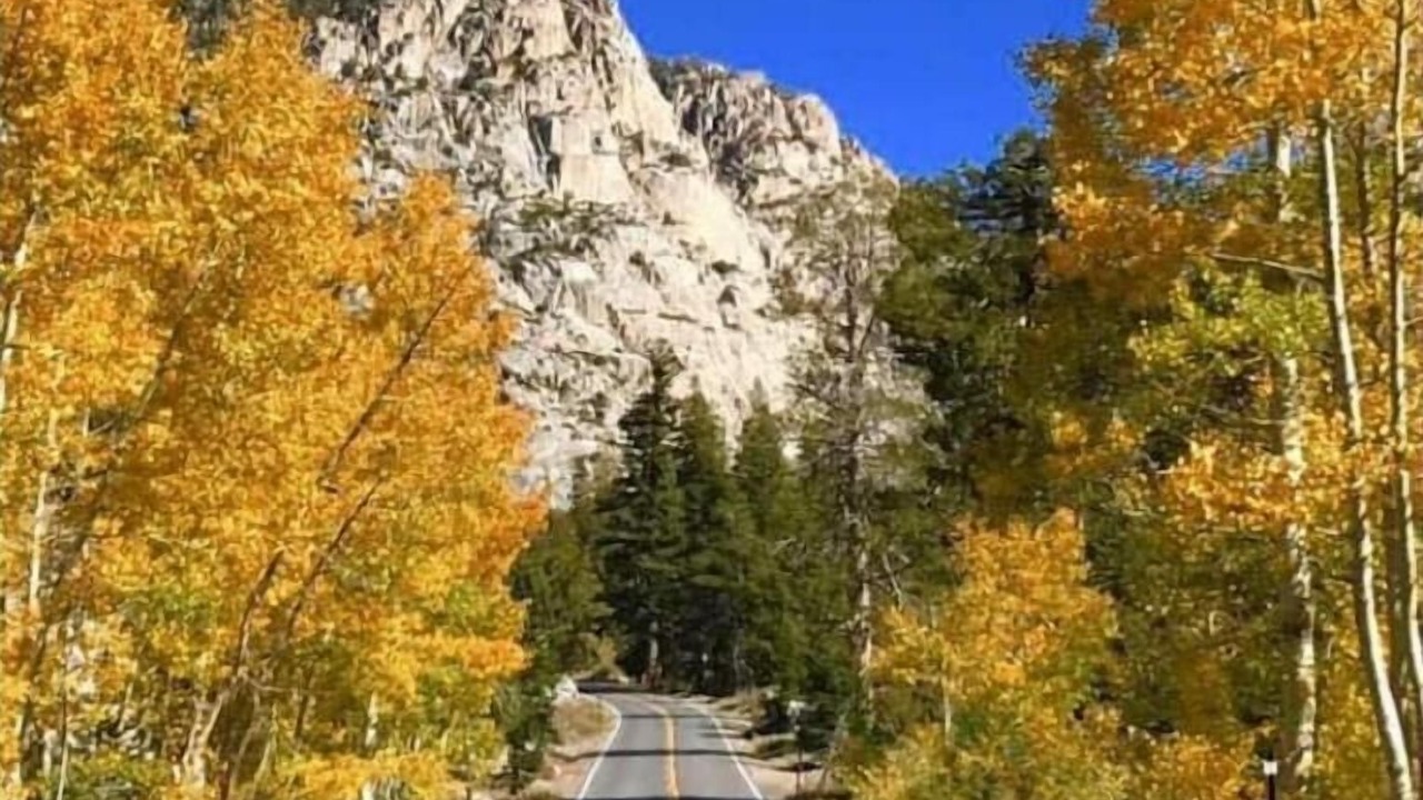 Photo of Others in Sierra Village