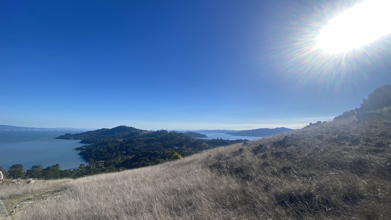 Photo of Others in Corte Madera