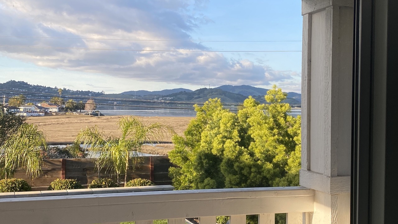 Photo of Others in Corte Madera