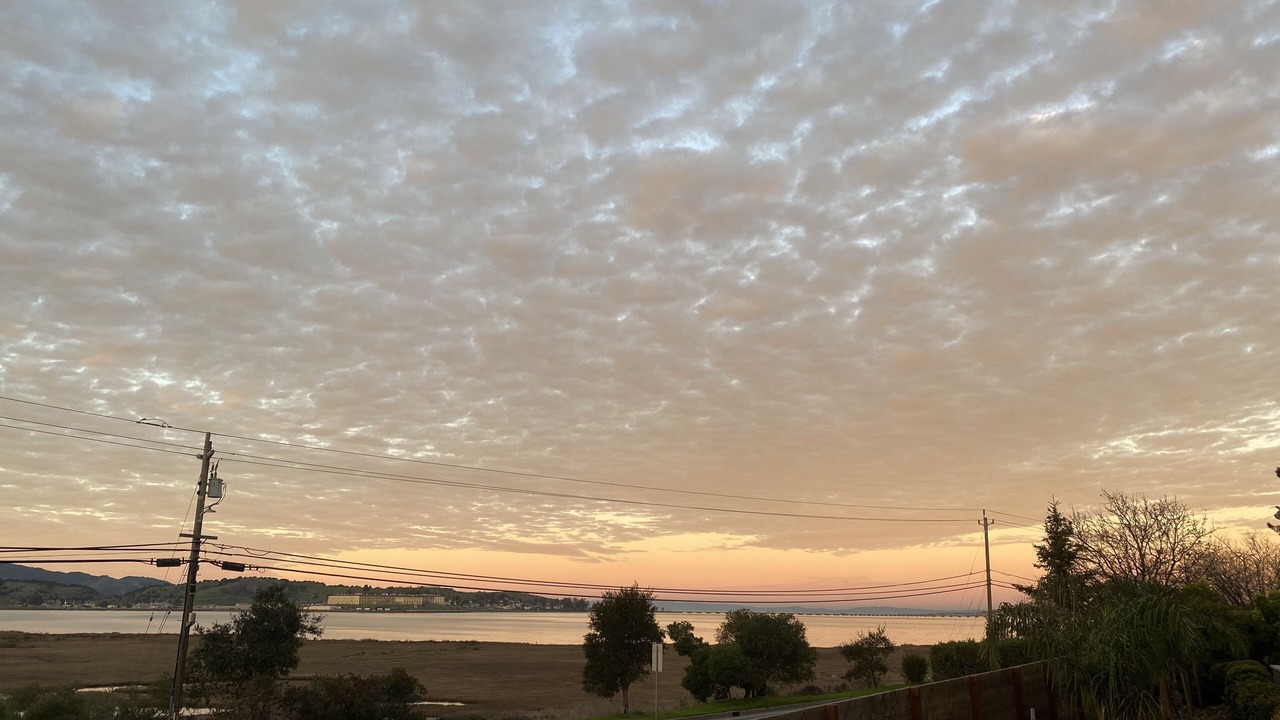 Photo of Others in Corte Madera