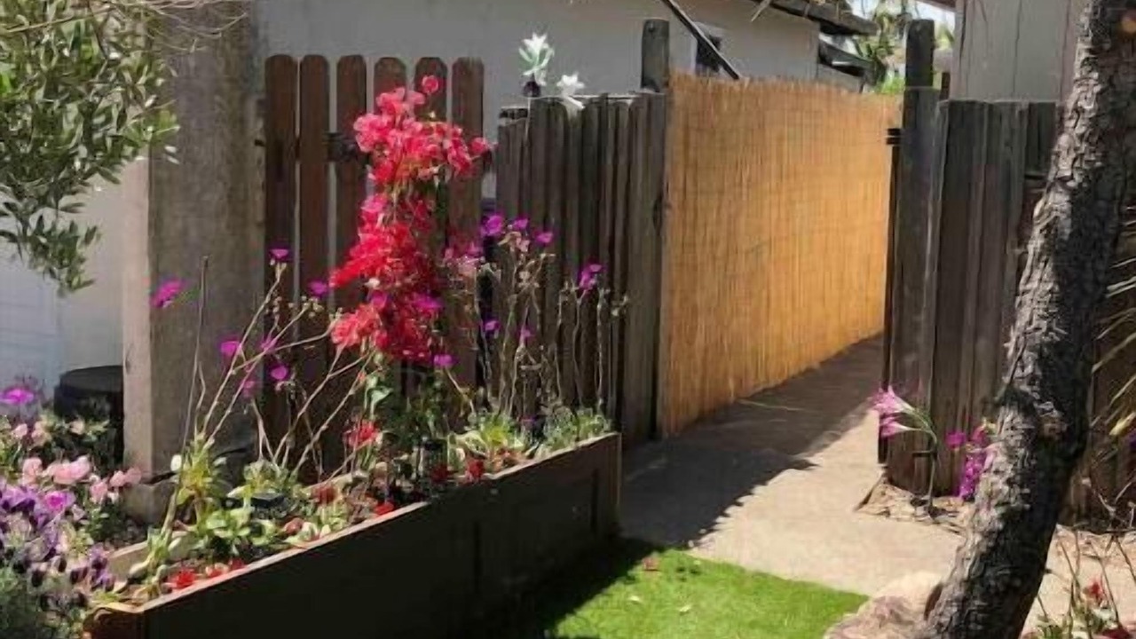 Photo of Outdoor in Novato