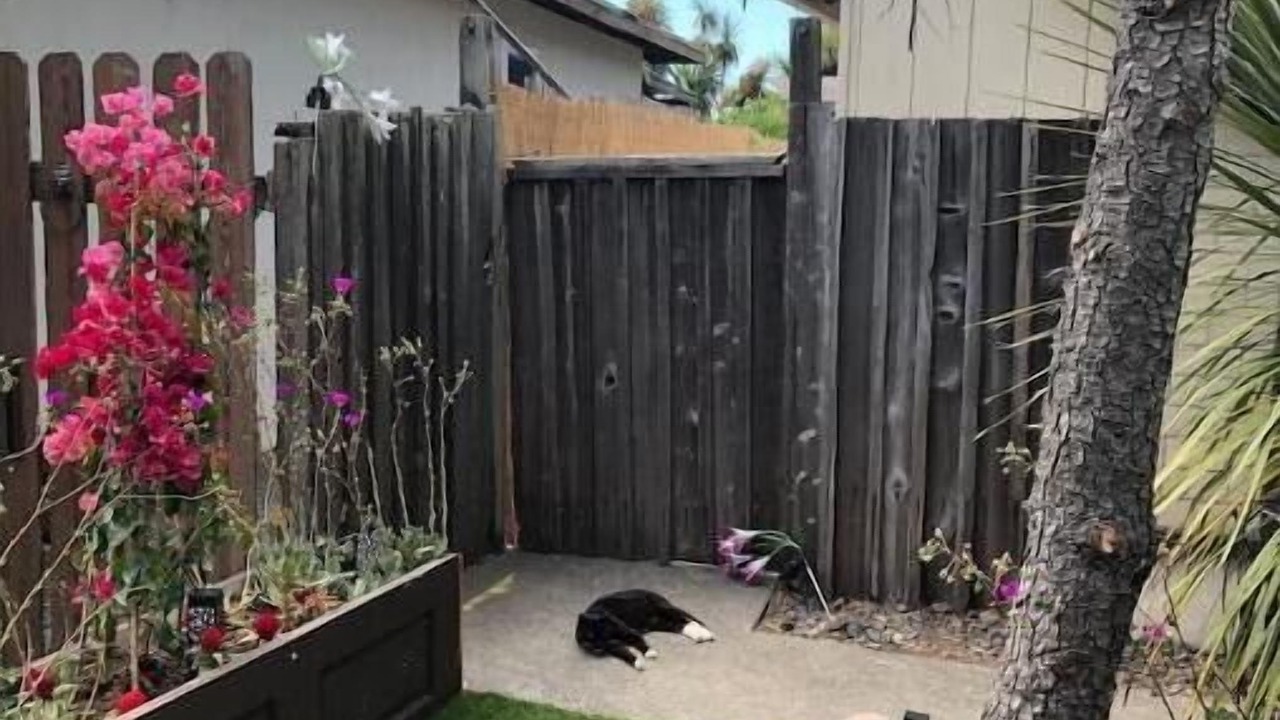 Photo of Outdoor in Novato