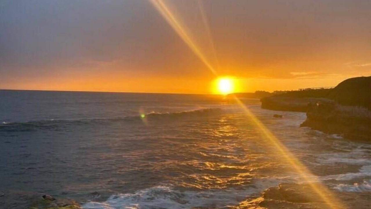 Photo of Others in Westside Santa Cruz