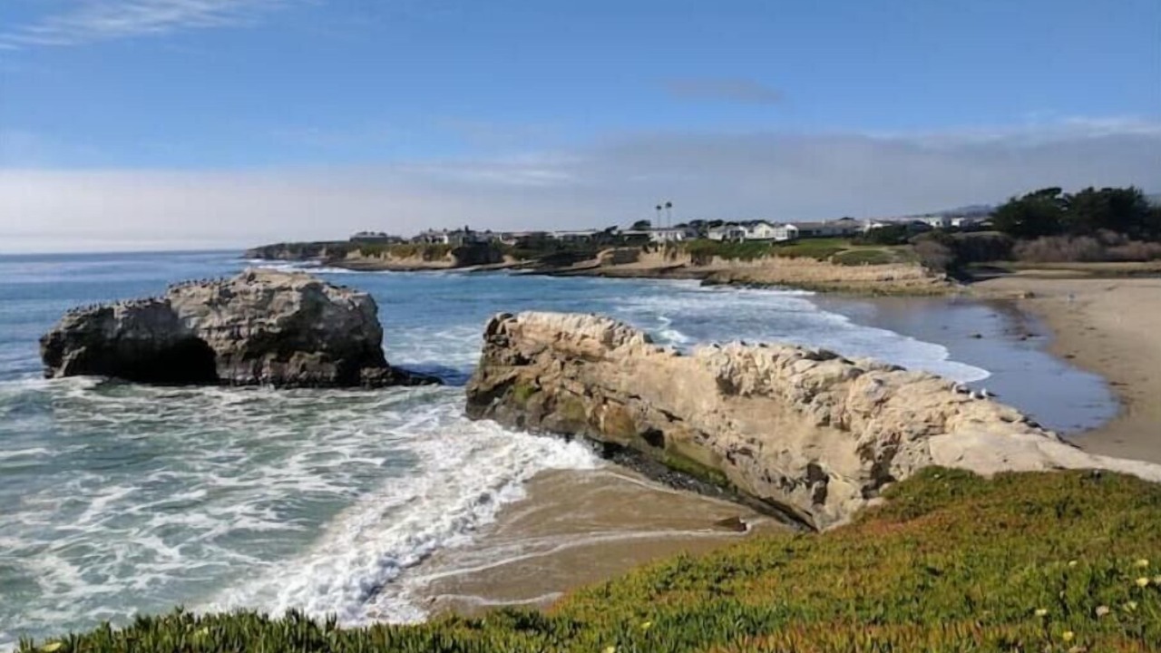 Photo of Others in Westside Santa Cruz