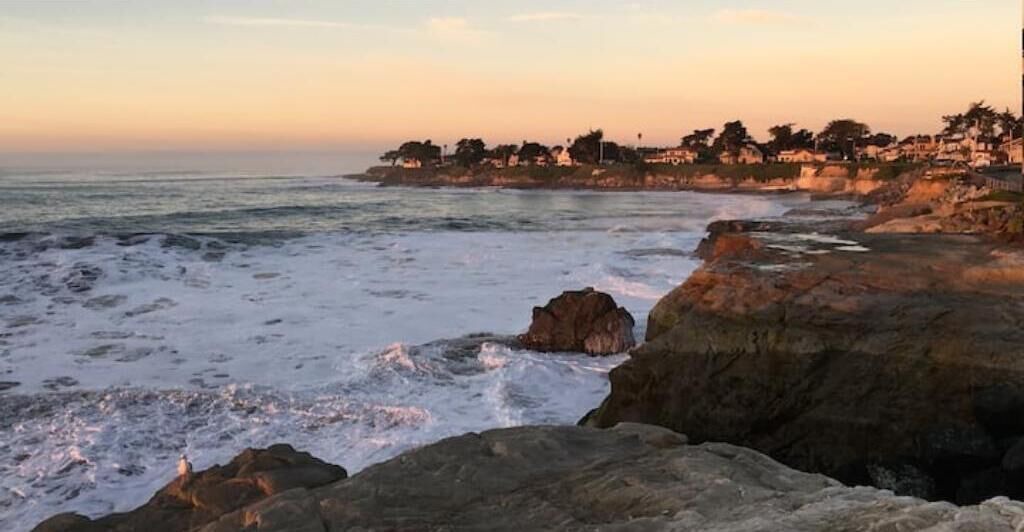 Photo of Others in Westside Santa Cruz