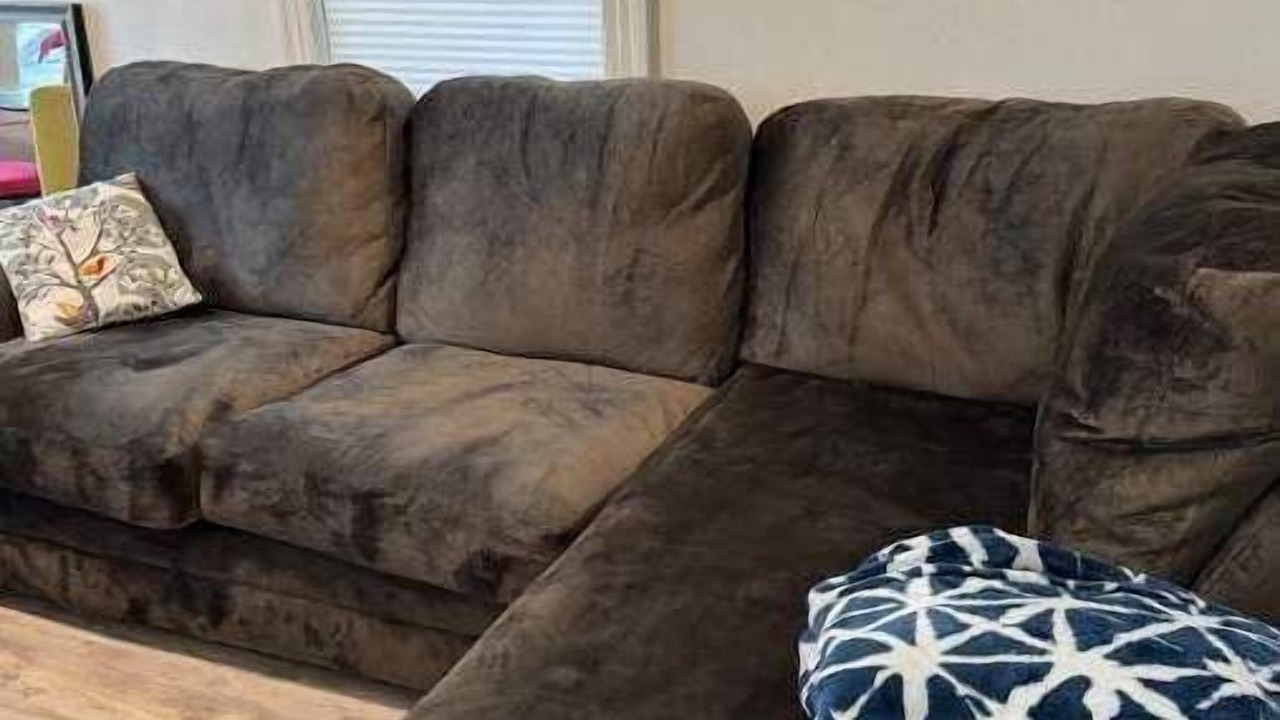 Photo of Livingroom in Clawson