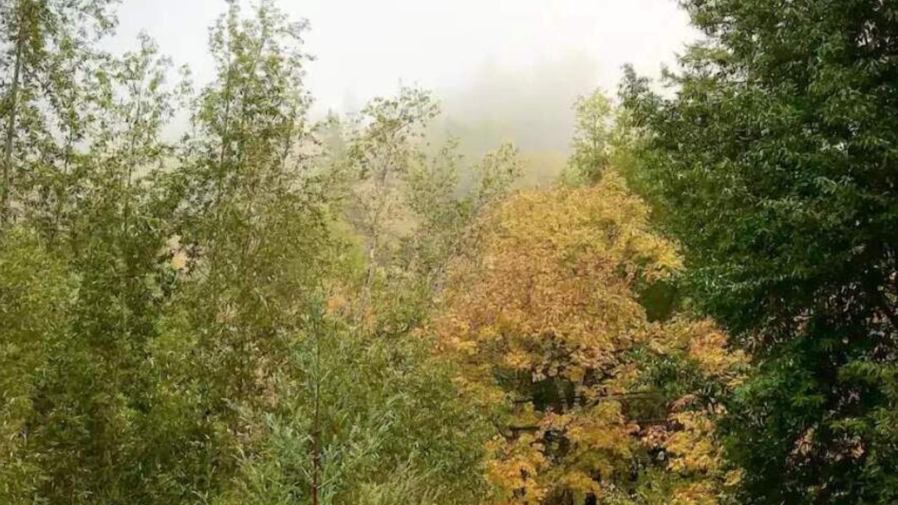 Photo of Others in Cazadero