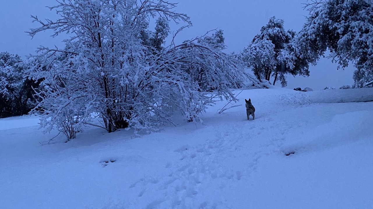 Photo of Outdoor in Oakhurst