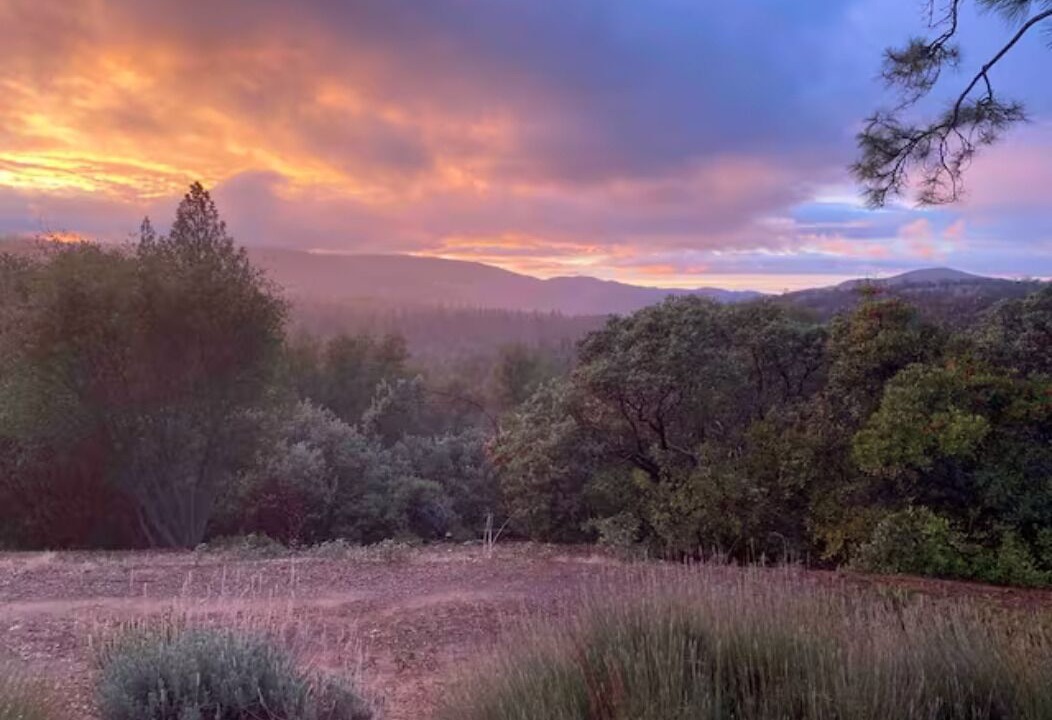 Photo of Outdoor in Midpines