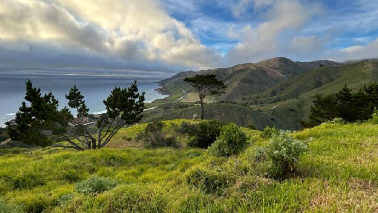 Photo of Others in Carmel