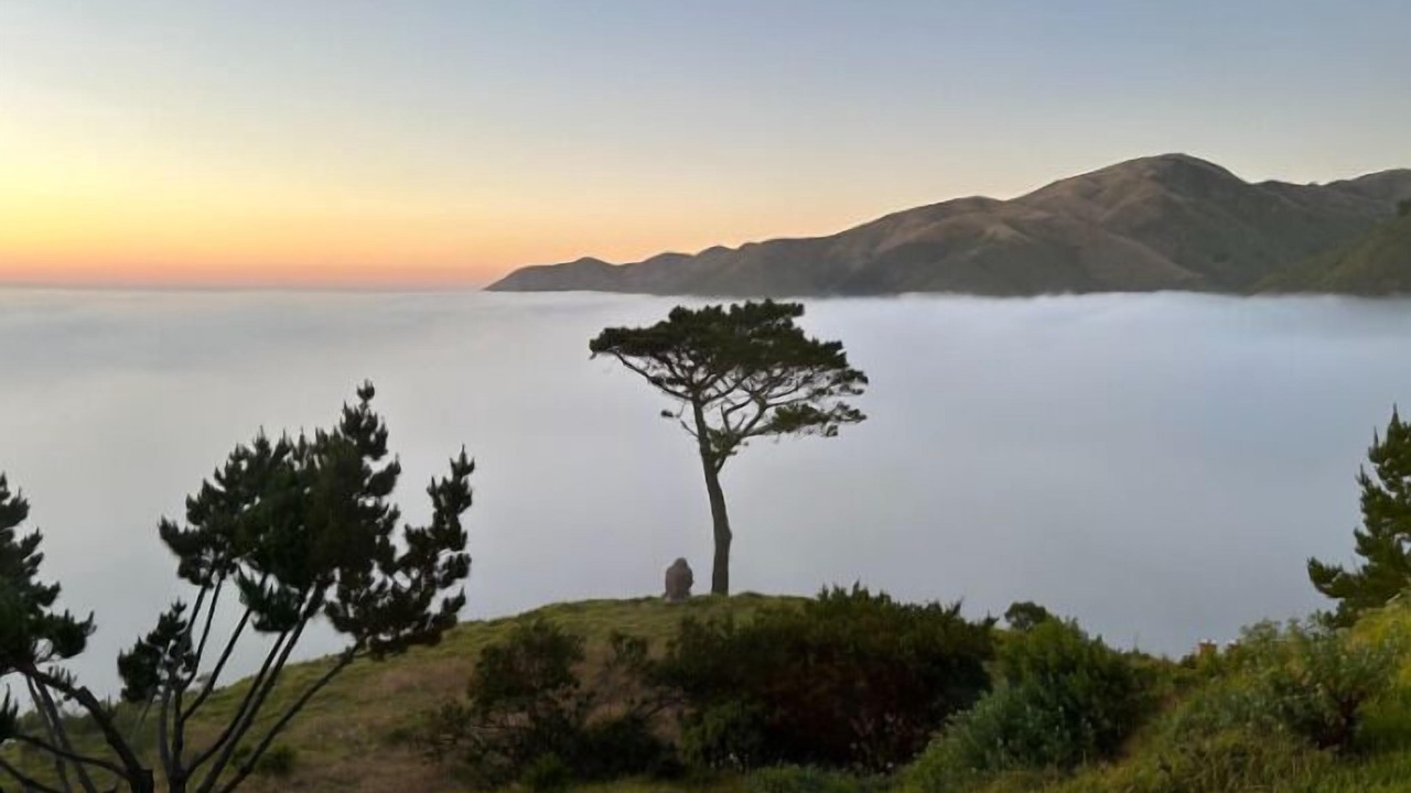 Photo of Others in Carmel