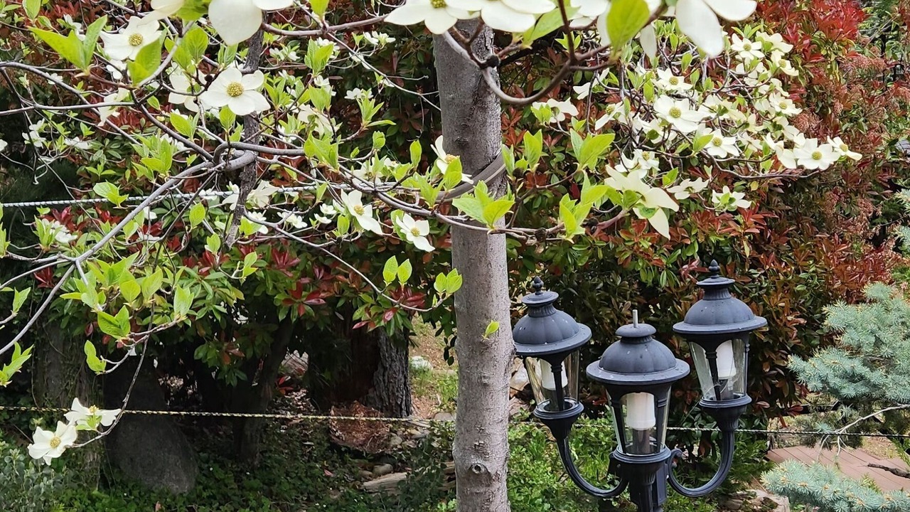 Photo of Outdoor in Mi-Wuk Village