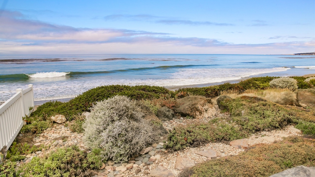 Photo of Others in San Simeon