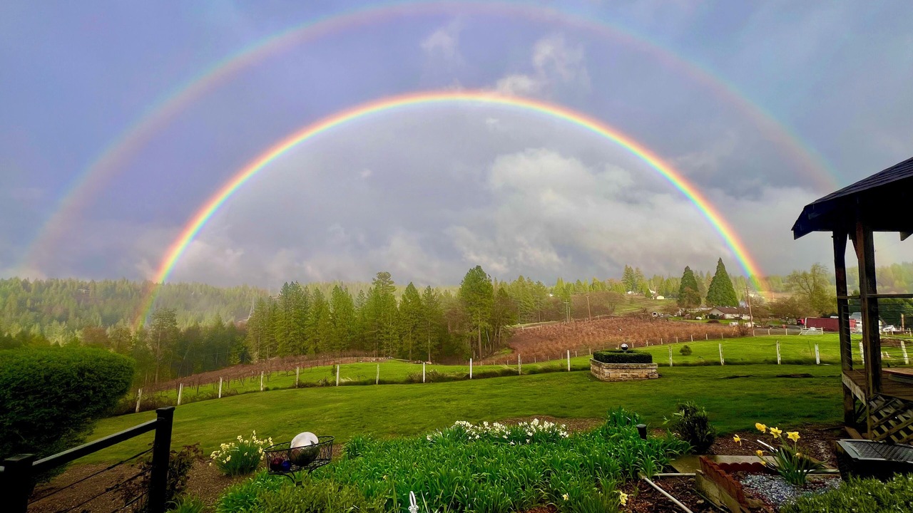 Photo of Outdoor in Apple Hill