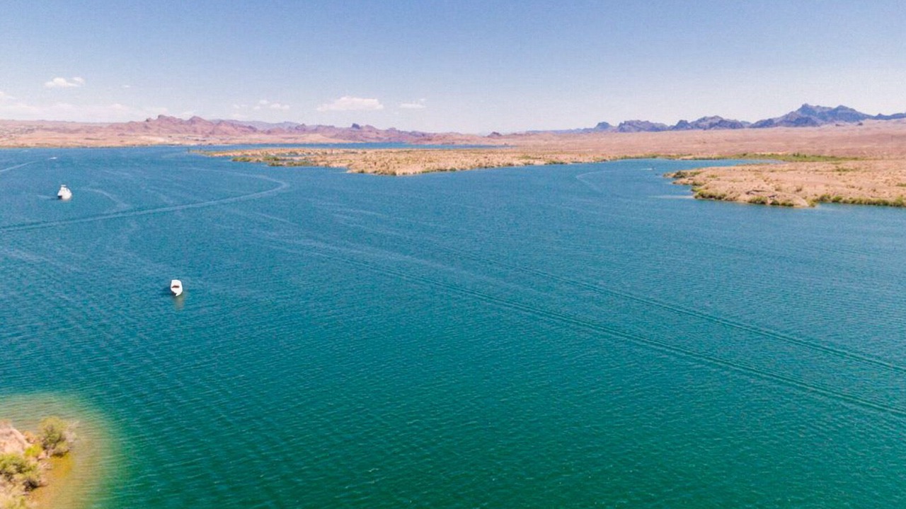 Photo of Others in Lake Havasu City