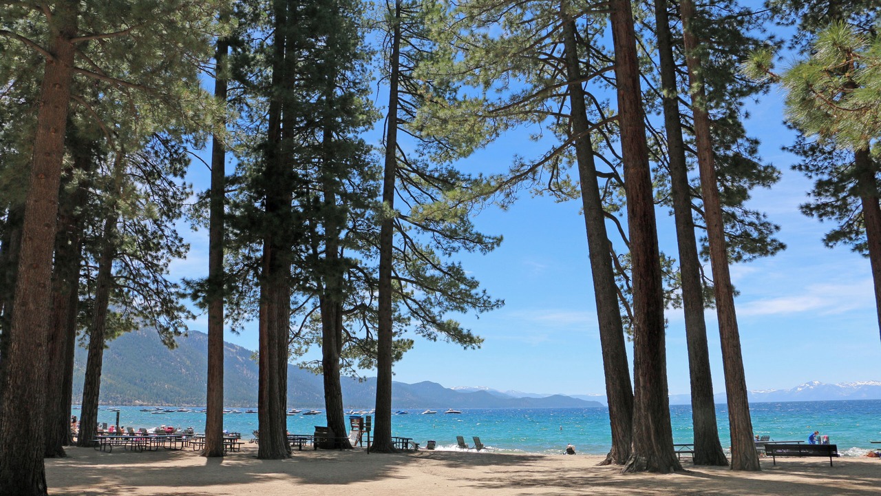 Photo of Others in Incline Village