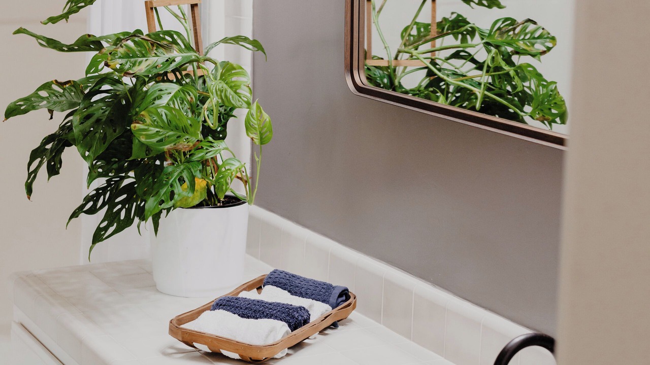 Photo of Bathroom in Springville